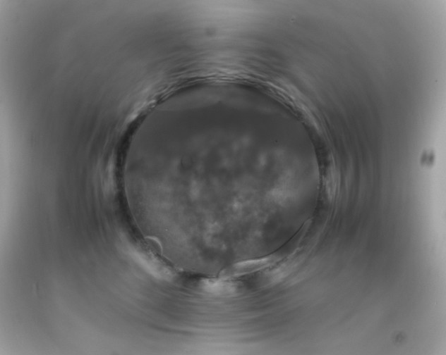 X0000092060520200709121357