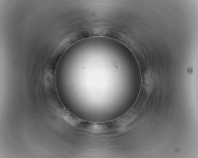 X0000092060522200709121357