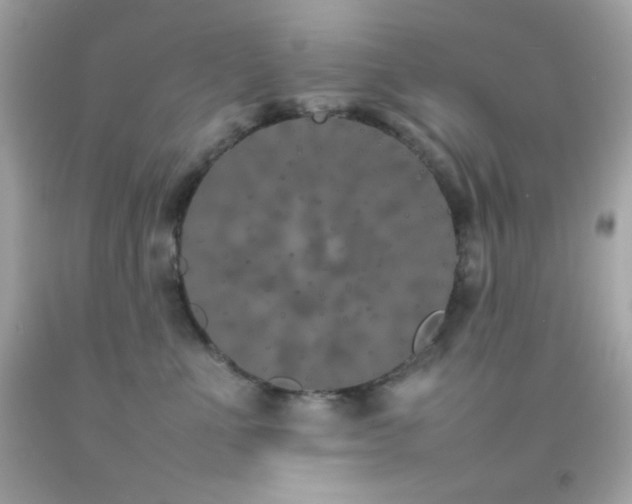 X0000092060523200709121357