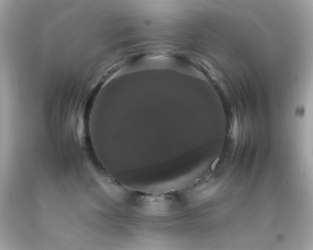 X0000092060524200709121357