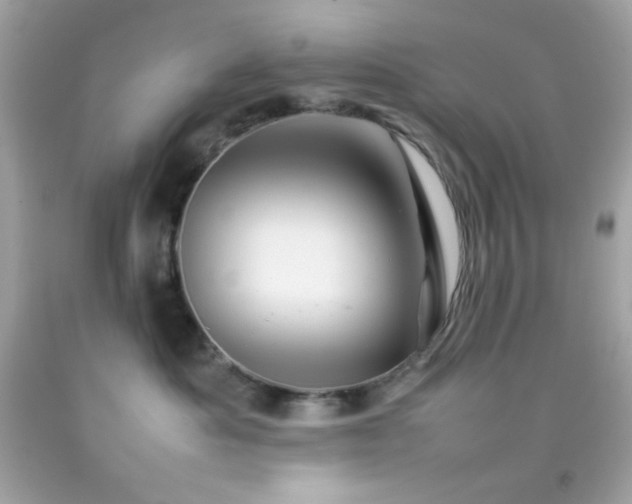 X0000092060525200709121357
