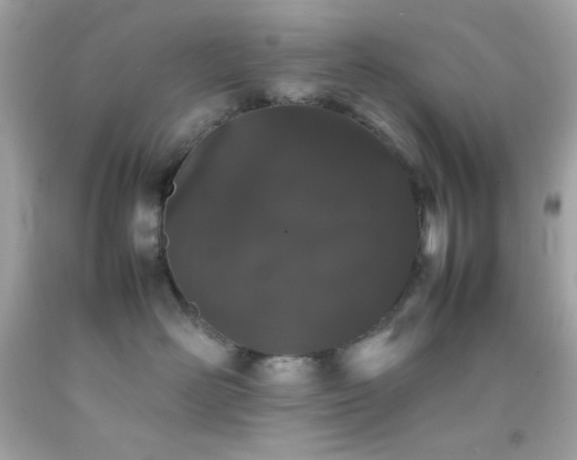 X0000092060526200709121357