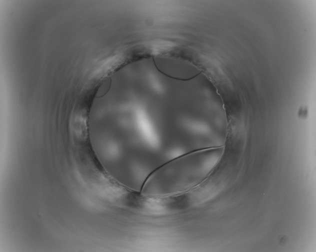 X0000092060527200709121357