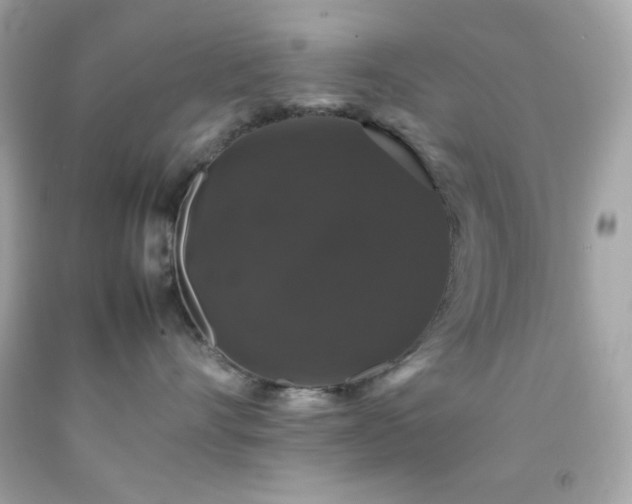 X0000092060528200709121357