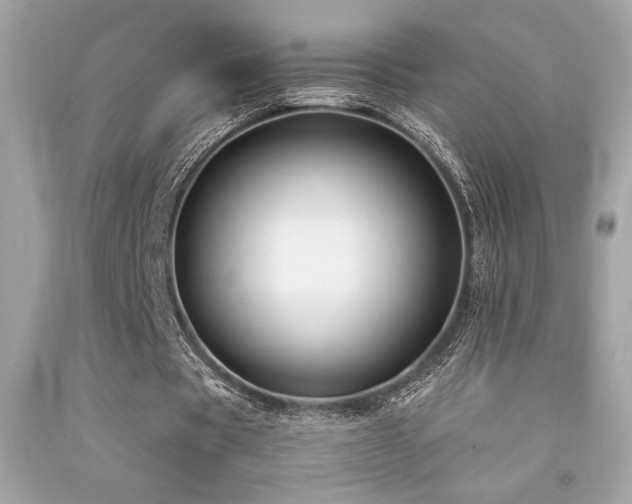 X0000092060529200709121356