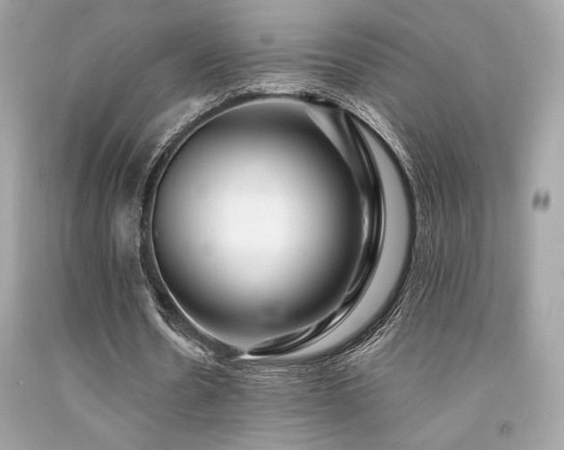 X0000092060530200709121356