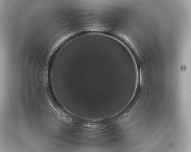 X0000092060531200709121356