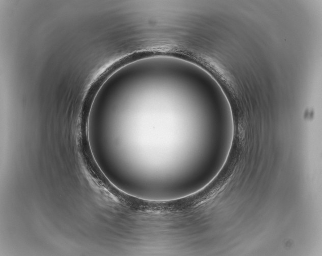 X0000092060532200709121356