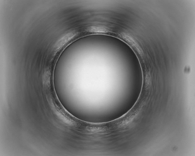 X0000092060533200709121356