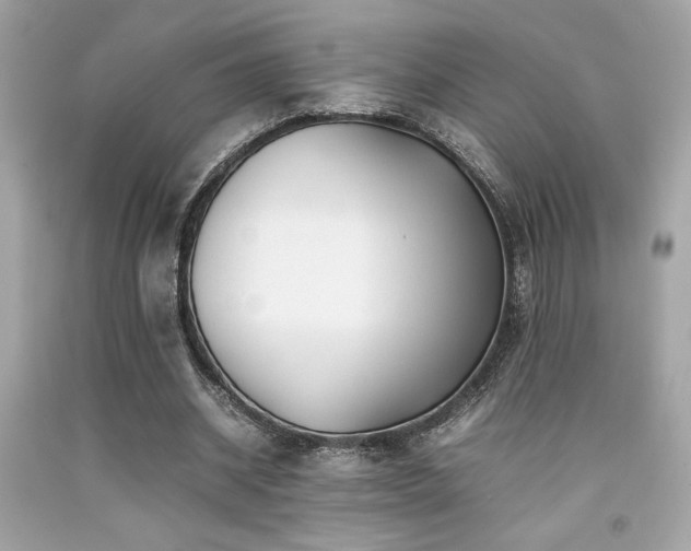 X0000092060534200709121356