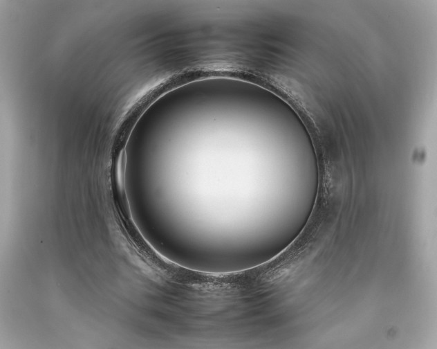 X0000092060535200709121356