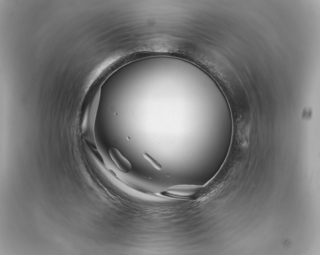X0000092060536200709121356