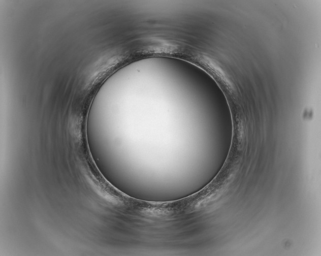 X0000092060537200709121356