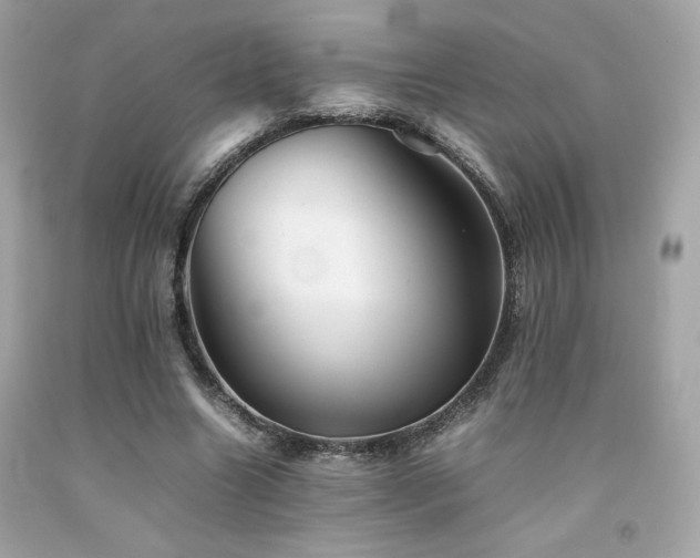 X0000092060538200709121356