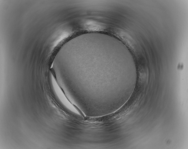 X0000092060539200709121356