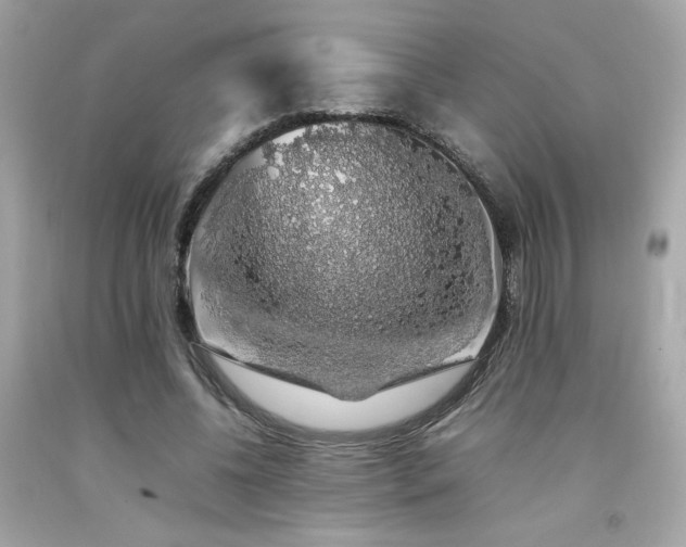 X0000092060540200709121356