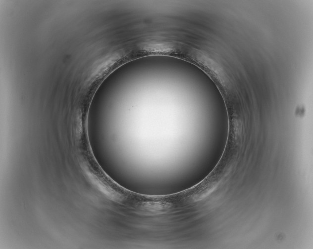 X0000092060541200709121356