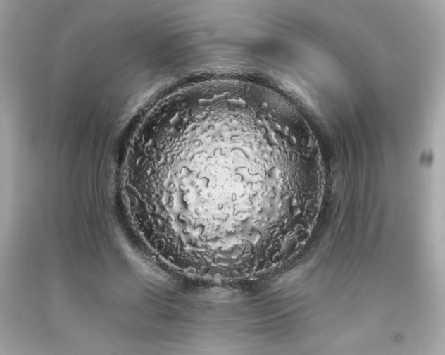 X0000092060542200709121356