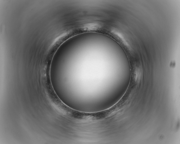 X0000092060543200709121356