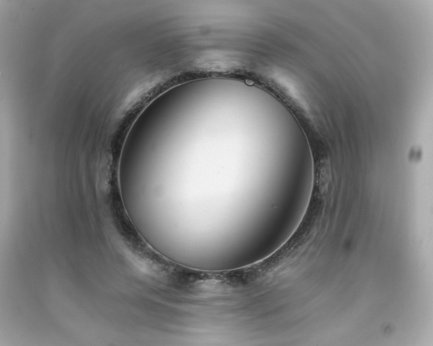 X0000092060544200709121356