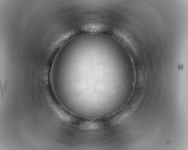 X0000092060545200709121356