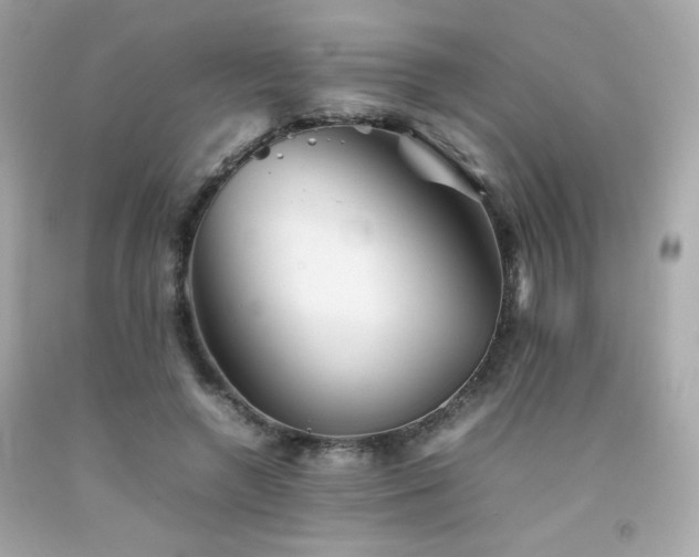 X0000092060546200709121356