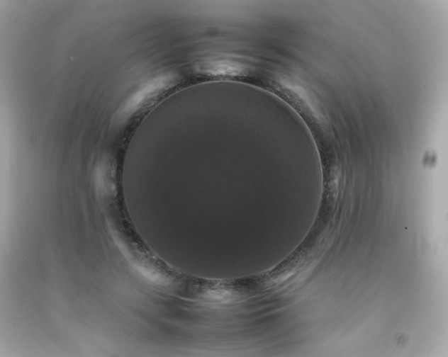 X0000092060547200709121356