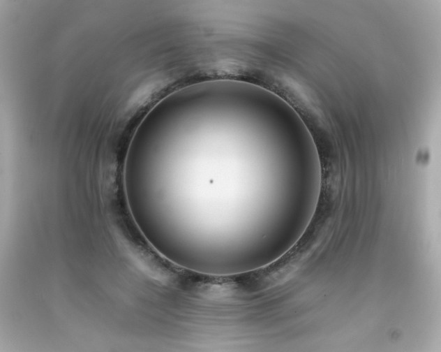 X0000092060548200709121356
