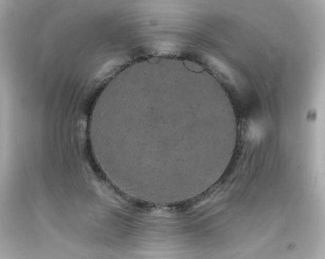 X0000092060550200709121356