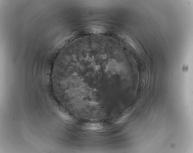 X0000092060553200709121356