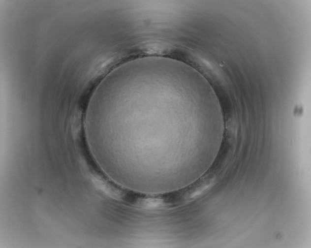 X0000092060554200709121356