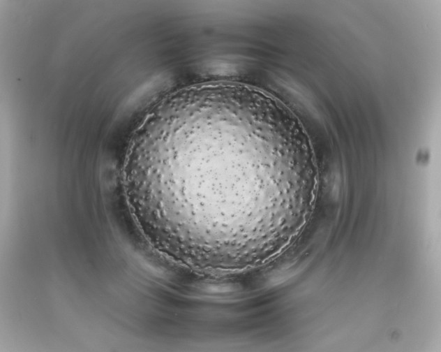 X0000092060555200709121356