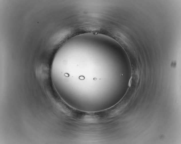 X0000092060556200709121356