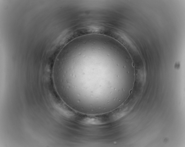 X0000092060557200709121356