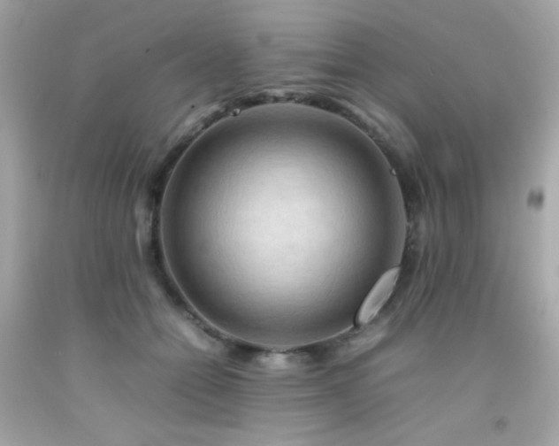 X0000092060558200709121356