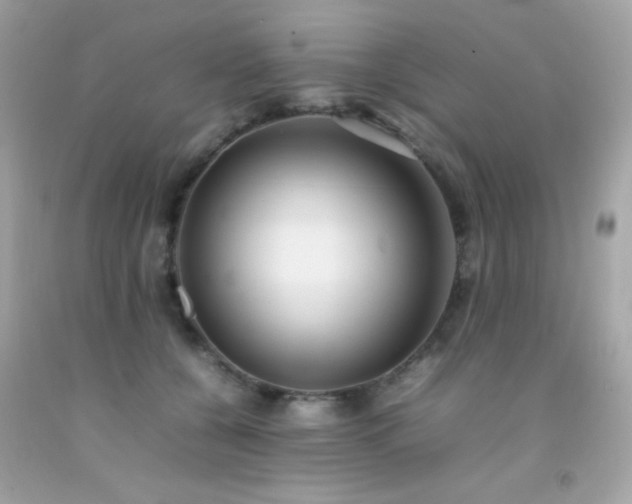 X0000092060560200709121356