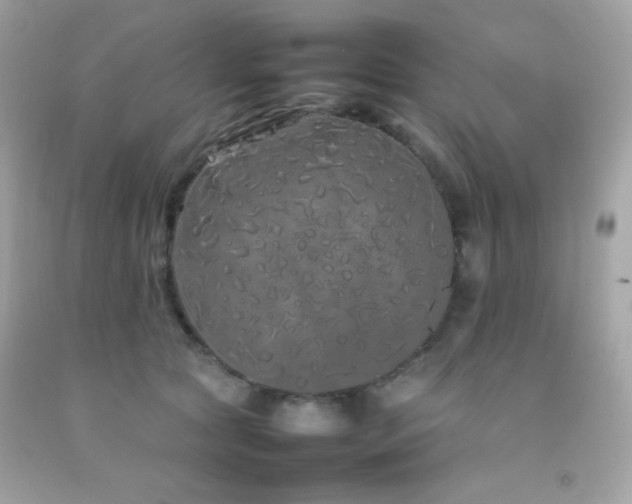 X0000092060561200709121356