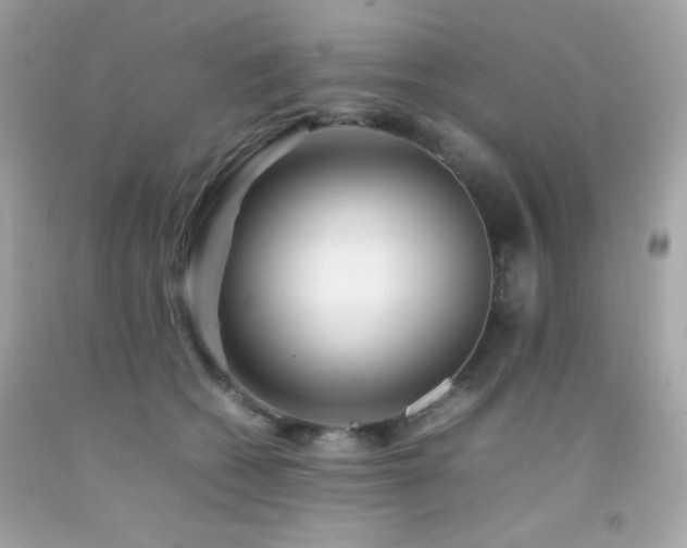 X0000092060562200709121356