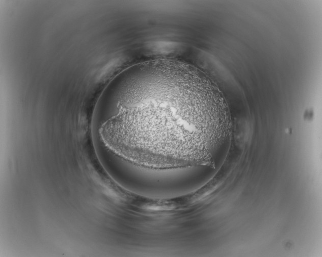 X0000092060563200709121356