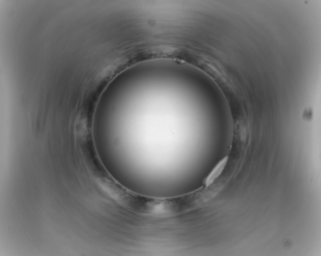 X0000092060564200709121356