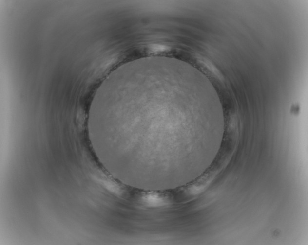 X0000092060565200709121356