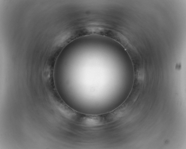X0000092060567200709121356