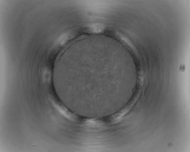 X0000092060568200709121356