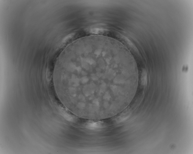 X0000092060569200709121356