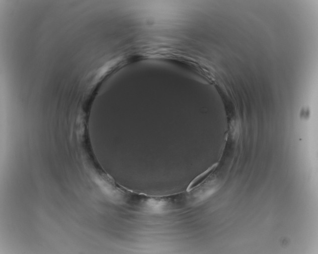 X0000092060570200709121356