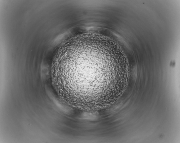 X0000092060571200709121356