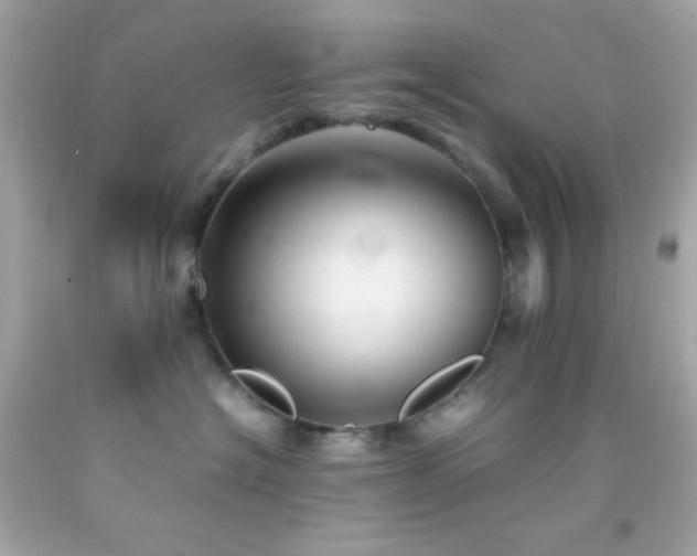 X0000092060574200709121356