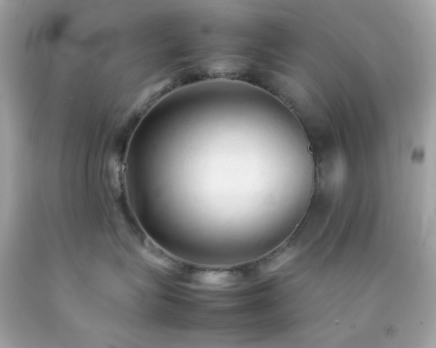 X0000092060575200709121356