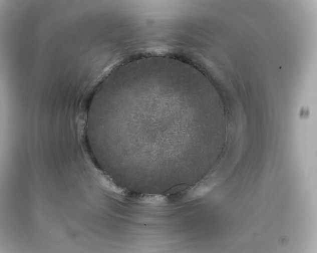 X0000092060576200709121357