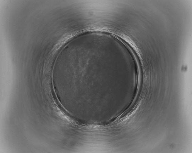 X0000092060577200709121356